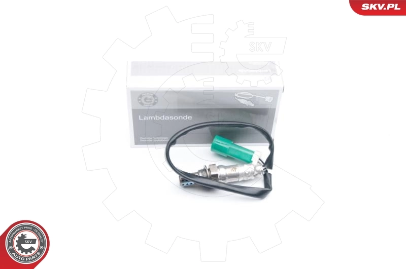 Oxygen Sensor